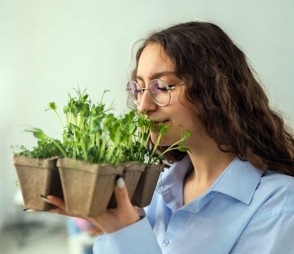 horta em apartamento micro verdes